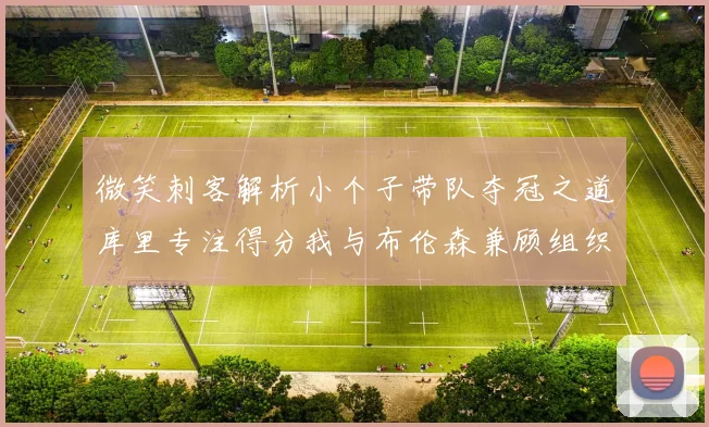 微笑刺客解析小个子带队夺冠之道库里专注得分我与布伦森兼顾组织与得分