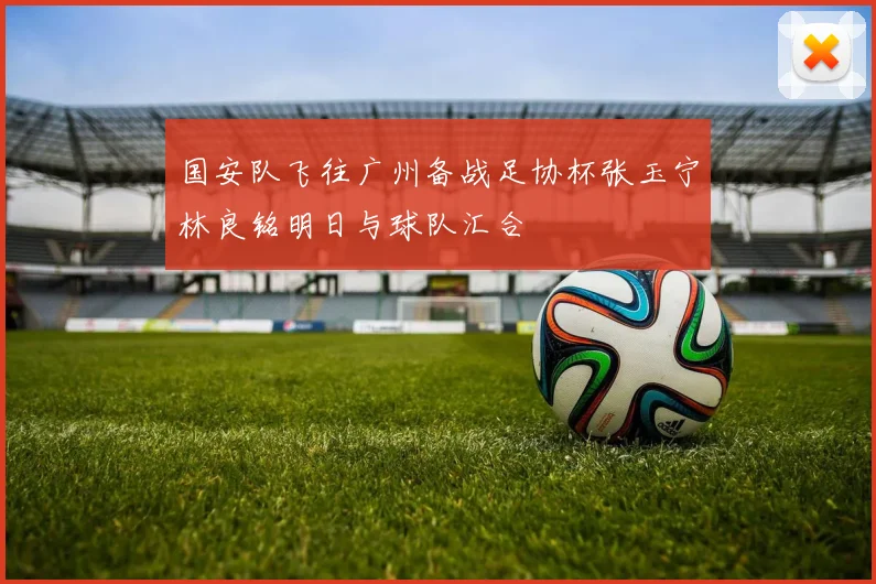 国安队飞往广州备战足协杯张玉宁林良铭明日与球队汇合